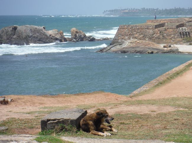 二日目もスリランカ南西の海岸沿いを走ります。<br /><br />途中、ゴールの砦を軽く観光してマータラまで走りました。