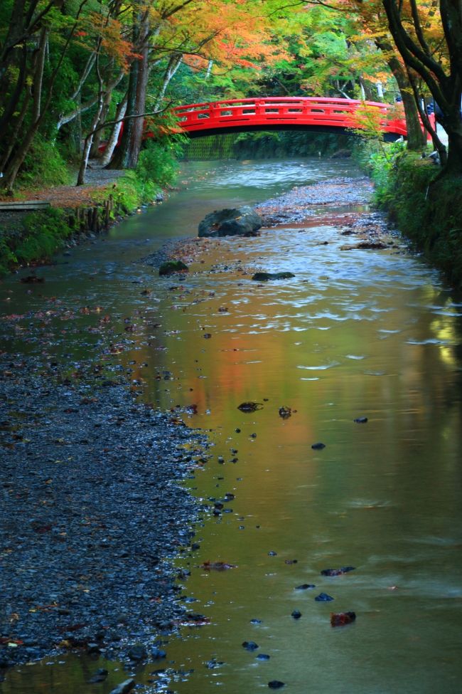 今週はやっと色づき始めた静岡へ。<br /><br /><br />静岡県<br />森町 小國神社(おくにじんじゃ)<br />森町 大洞院(だいとういん)<br />袋井市 油山寺(ゆさんじ)<br /><br />愛知県<br />豊橋市 普門寺(ふもんじ)