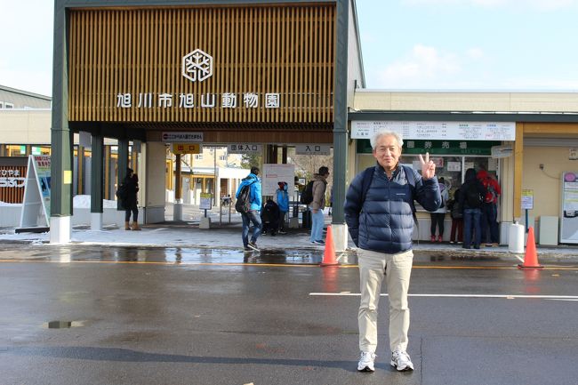 札幌からレンタカーで旭山動物園に行ってきました。人気の動物園ですが、平日でシーズンオフのためかすいていて、待つことがなく楽に回れました。冬に弱い動物たちは公開していないものもありました。