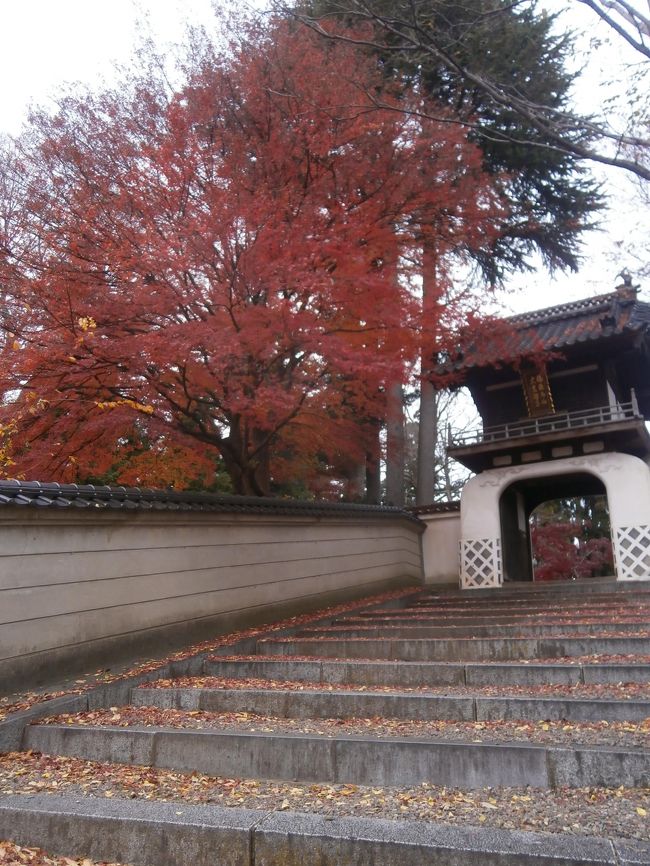 盛岡には南北に寺町が配されている。南寺町をぶらついてから、日帰り温泉、夜行バスで帰宅。