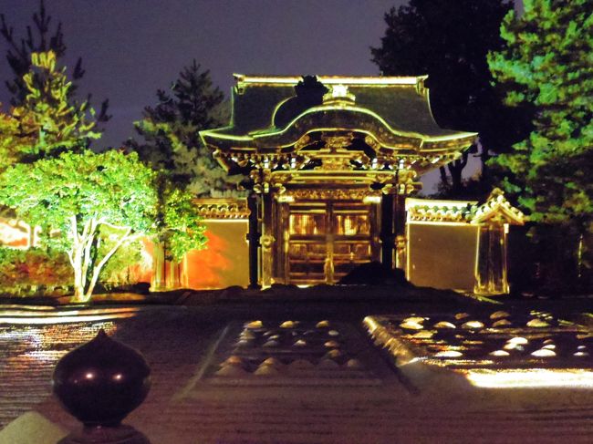 ２日前から奈良・京都を回っている私と、今日、新幹線で京都に来る友達２人、京都駅で待ち合わせ。<br />どこか紅葉の綺麗なお寺と、高台寺の夜間拝観が目的です。<br /><br />Q&amp;Aで４トラ・トラベラーさんに、どこのお寺が紅葉がきれいか聞いたり、紅葉情報を見て、この日に行くお寺を決めましたが物事は計画通りにいかないもので・・<br /><br />写真は高台寺の夜間拝観・プロジェクションマッピングされたお庭