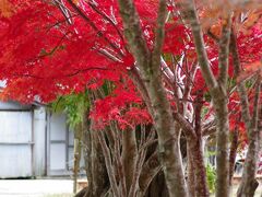 336 みたらい渓谷と洞川温泉、日帰りバス旅行