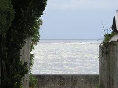 【今帰仁・本部・国際通り】秘密のフクギ並木と素敵な焼き物、美味しいお宿でのんびり。