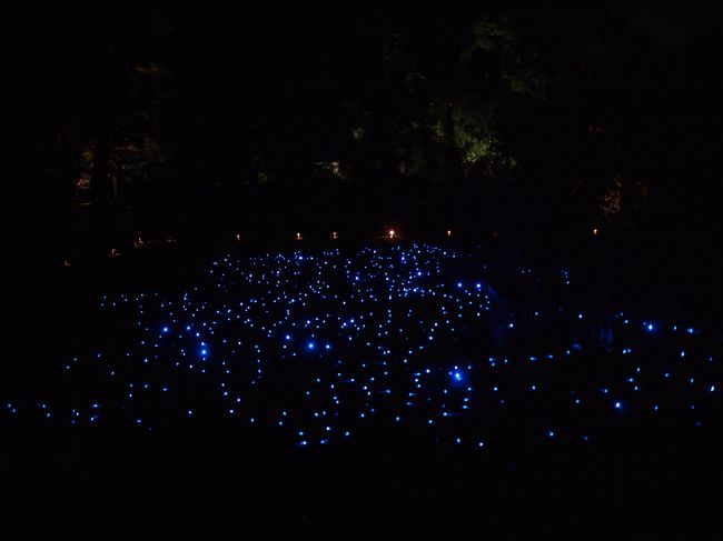 秋の京都ひとり旅【３】　一日目・下鴨神社と青蓮院門跡ライトアップと夜の伏見稲荷大社