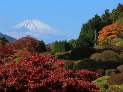 箱根で紅葉狩り2016年