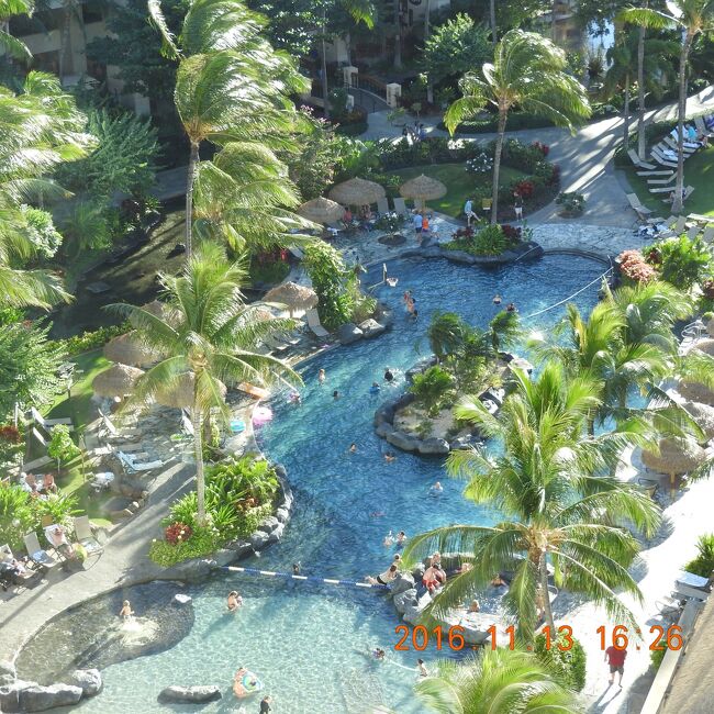 Marriott's Ko Olina Beach Club滞在<br /><br />シェア物件オーナーとして中二週間で行ってきました(全16日)。<br /><br /><br /><br /><br />此のページではニコンの光学60倍・デジ120倍で撮影をUPしてみます。<br />緯度:21.33347 経度:-158.12026833333<br /><br />新型の80倍が出たので、今年旧型を購入しましたが、<br />ハワイで新型が低倍率なら200ドル位で売られていました(日本の通販と同じ程度)。<br /><br />今回の旅行のUPは12月クリスマス迄ハワイ四島クルーズに行くので、2017年まで掛かりそうですが、<br />此のMarriott's Ko Olina Beach Clubでの滞在では、<br />Waikikiに二回とか<br />西端迄ドライブとか<br />ですので其程目新しいことはないと思います。<br /><br />二週間でも過ぎるのは早いですが、若干飽きますので、<br />2019年はMarriott's のBeach Clubは此処とハワイ島で済まし、<br />カイルア島のは綺麗ですが、セキュリティーが少々と思うので、皆さんの旅行記を元に考えます。<br /><br />ハワイ島のはゲスト・ルームでも広そうでクイーンズベッドが二台の部屋も有るみたいですが、もう少し調べたいです。<br /><br />ヒルトンは<br />ヒルトン ハワイアン ビレッジ ワイキキ ビーチ リゾートと、<br />The Bay Club at Waikoloa Beach Resortの組み合わせにしようと思うのですが・・・・どうなるか<br />