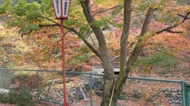 兵庫県紅葉人気ランキングベスト10中、　5位にランクされている、新宮の紅葉の名勝に今年も行って来ました。<br /><br />自宅を出る時は、晴天で無風に近い状態でしたが、現地に着くと曇り空と強風で寒かったです。<br /><br />去年、11月12日に山崎町のもみじ谷から足を延ばし訪れた時は、まだこれからという紅葉でしたが、今年は落ち葉から推測して10日位前がベストだったようです。<br />ですが、名残りの紅葉は又違った綺麗さが味わえ見事でした。<br /><br />国民宿舎しんぐう荘の期間限定ランチバイキングに舌包みし、帰って参りました。 