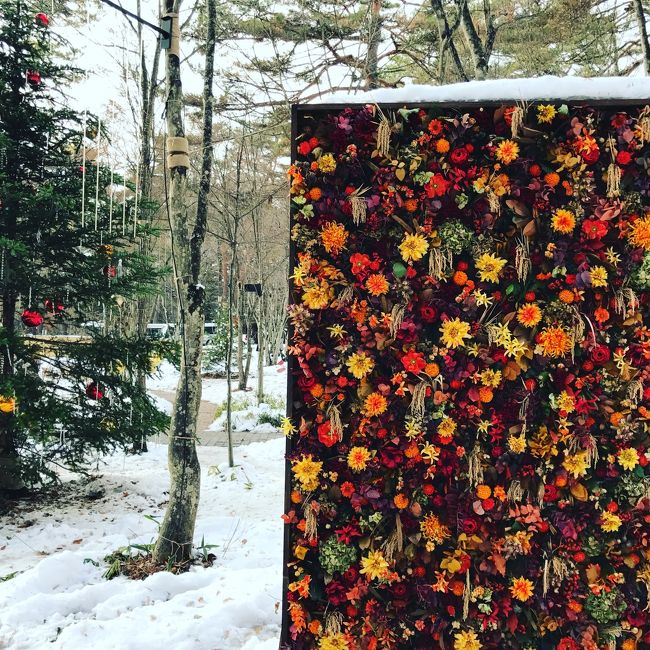 軽井沢の紅葉は終わっちゃったけど、プラチナバーゲンがあるさ、、あれっ雪景色も！！