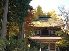 紅葉　　ＩＮ　　広徳寺