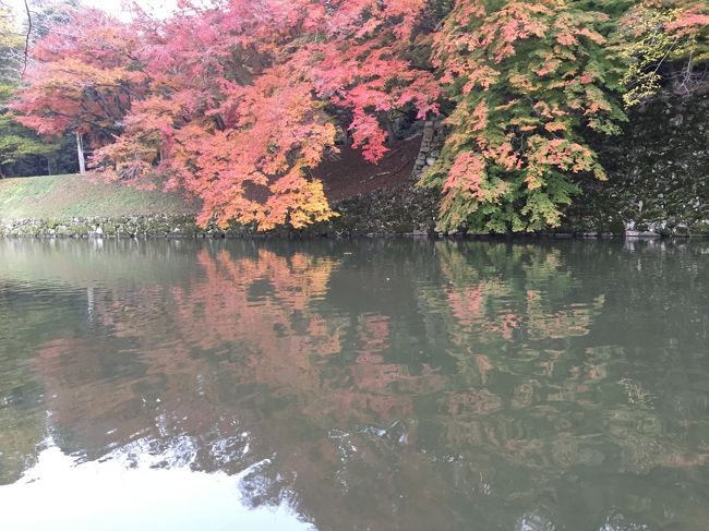 関西方面に足を踏み入れたことがないだけに、滋賀県彦根市へ。紅葉の綺麗な時期。京都は紅葉のメッカではありますが、おもてなしは「ありがとうございますぅ」?<br />イントネーションは、関西　?　写真は彦根城お堀　