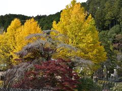 鳳来寺山もみじまつり 2016（愛知）