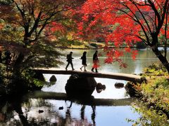 東京都心の紅葉・・江戸の二大庭園で特別名勝の、六義園（りくぎえん）をめぐります。