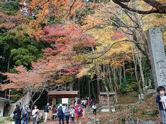 鳳来寺山もみじまつり