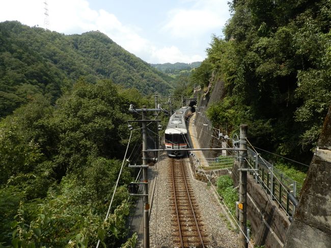 前回の広島旅行から一週間。<br />お盆休みを使い飯田線の秘境駅を巡りに出かけました。<br /><br />ここでは前回からの続き（→　http://4travel.jp/travelogue/11182023　）<br />大嵐駅から30分少々。田本駅に着きました。<br />田本駅も小和田駅と同様に駅まで車道が通じていません。さらに駅は断崖絶壁にあり、なぜこんなところに駅を作ったのかと思います。<br />さらに、豊橋行きに戻り、天竜川沿いにある為栗駅へ。<br /><br />こちらへ駅まで舗装道路が続いており、秘境度は落ちますが、川沿いにありのんびりできました。<br /><br />最後に天竜峡の手前、金野駅へ。こちらも駅周辺に何もない秘境の駅という感じでした。<br /><br /><br /><br />【行程】<br />豊橋（6：00）→普通・天竜峡行き→中井侍（8：22）<br />中井侍（8：43）→普通・豊橋行き→小和田（8：49）<br />小和田（10：12）→普通・中部天竜行き→大嵐（10：17）<br />大嵐（11：14）→普通・天竜峡行き→田本（11：50）<br />田本（13：10）→普通・豊橋行き→為栗（13：18）<br />為栗（13：45）→普通・岡谷行き→金野（14：08）<br />金野（15：17）→普通・豊橋行き→豊橋（18：24）<br />豊橋（18：31）→普通・浜松行き→浜松（19：07）<br />浜松（19：20）→こだま676号・東京行き→静岡（19：46）<br />静岡（20：20）→ホームライナー沼津8号→沼津（21：00）<br />沼津（21：03）→普通・熱海行き→熱海（21：22）<br />