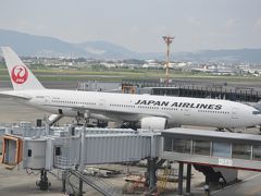 国際線機材と深夜の羽田空港