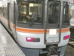 2016年8月　飯田線秘境駅へ　（2日目-4）～帰路