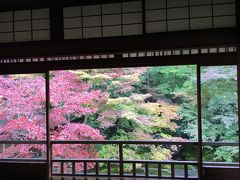 京都紅葉旅 - 1日