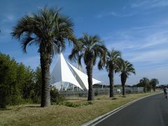 晩秋の葛西臨海公園