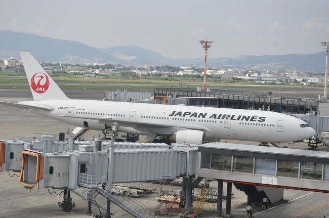 マイレージが貯まったので久しぶりに日本航空に乗ることにしました。<br /><br />せっかくなので国際線で使用されている機材が運用される日本航空3002便に乗ってみたくなり、<br /><br />伊丹→成田→羽田→伊丹<br /><br />という行程で旅行しました。<br /><br />成田空港と羽田空港でヒコーキを撮影できる個人的に贅沢な旅です。<br /><br />そして、今回は深夜の空港を体験してみたくて、<br /><br />あえてホテルは利用せずに羽田空港で夜を明かしました。<br /><br />なので、実際にかかった費用は成田→東京の移動費と食費とクラスJへのアップグレード代だけでした。<br /><br />