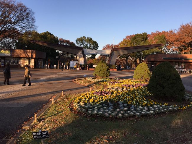 ちょっと時期を外しましたが、どんな感じなのか初めて昭和記念公園に行ってきました。<br />アクセス：西立川口（青梅線西立川下車）<br />入 園 料：大人 410円