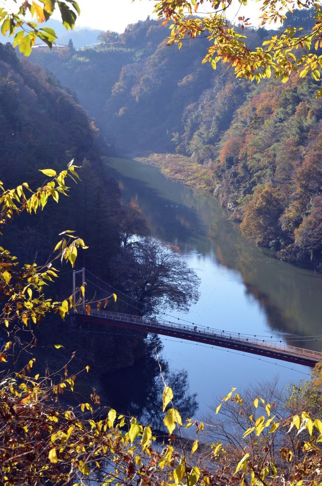 高尾山、相模湖の美しい紅葉が見たくて今年もやってきた。<br />先週に訪れたかったが、平日の天気が良い日とこちらの都合が合わずに、ようやく天気の良い今回の訪問となった。<br /><br />紅葉は、訪れるのがやはり1週間くらい遅かったが、紅いモミジなどはまだまだ見られた。<br />期待の相模湖に通じる相模川は神秘的な美しさを見せていた。<br />富士山も期待通りの雪を被った美しい姿を現した。<br /><br />今回は１０回目の健康登山である。２１回の満行目指してようやく半分近くまできた。<br />次は、いつ訪れようか。<br /><br />高尾山旅行記<br />⑪高尾山　紅葉は　1号路ー高尾山ー相模湖　健康登山（１０）１１月　<br />http://4travel.jp/travelogue/11193851<br />⑩高尾山健康登山（９）　６号路ー高尾山ー１号路－琵琶滝ー高尾山温泉　１０月<br />http://4travel.jp/travelogue/11181642<br />⑨高尾山健康登山（８）　１号路ー高尾山ー４号路－琵琶滝ー高尾山温泉　４月<br />http://4travel.jp/travelogue/11123664<br />⑧高尾山健康登山（７）　梅林　１号路ー高尾山ーいろはの森ー木下沢梅林ー高尾駅　３月<br />http://4travel.jp/travelogue/11112695<br />⑦高尾山健康登山（６）　６号路（琵琶滝）ー高尾山ー金毘羅台歩道－高尾駅　２月<br />http://4travel.jp/travelogue/11100834<br />⑥高尾山健康登山（５）　紅葉は　蛇瀧ー高尾山ー相模湖　１１月<br />http://4travel.jp/travelogue/11079204<br />⑤高尾山健康登山（４）　稲荷山コースー奥高尾ー高尾山ー琵琶滝　９月末<br />http://4travel.jp/travelogue/11060097<br />④高尾山健康登山（３）　紅葉は　琵琶滝ー高尾山ー相模湖　１１月<br />http://4travel.jp/travelogue/10833361<br />③高尾山健康登山（２）　１号路ー高尾山ー小仏峠ー小原宿　５月<br />http://4travel.jp/travelogue/10775822<br />②高尾山健康登山（１）　桜、富士山　１号路ー高尾山ー小仏峠ー旧甲州街道　４月<br />　http://4travel.jp/travelogue/10765461<br />①高尾山から相模湖ハイキング　紅葉は？　１号路ー高尾山ー相模湖　１１月<br />http://4travel.jp/travelogue/10729717