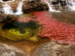 天然のパレット！世界一美しき五色の川「キャノ・クリスタレス」
