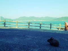 うさぎの島を歩いて１周～大久野島へ～