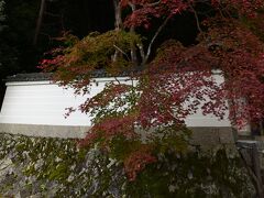 2016　京の紅葉散歩　哲学の道