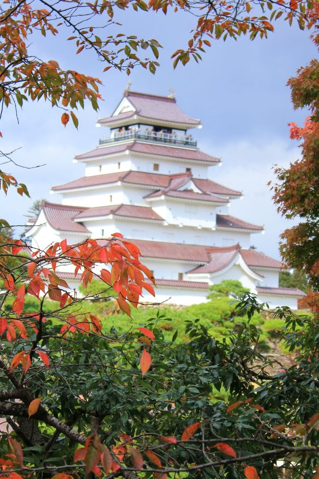 会津５日目の今日はいよいよ旅の最終日。有終の美を飾るのはもちろん、鶴ヶ城。ご挨拶なしでは帰れまテン。春に美しい桜を見せてもらったので、その紅葉も見事でしょう。春も雨に降られたが今回も・・・。昨日までは何とかお天気に恵まれたのにザンネン。途中で降られてしまいました。会津の３泣きならぬ、鶴ヶ城の２泣きでござる。前回くぐらずに帰ってきてしまった鉄門から本丸に。干飯櫓が改修中でシートで覆われていました。桜の木の紅葉は見ごろに近づいていました。