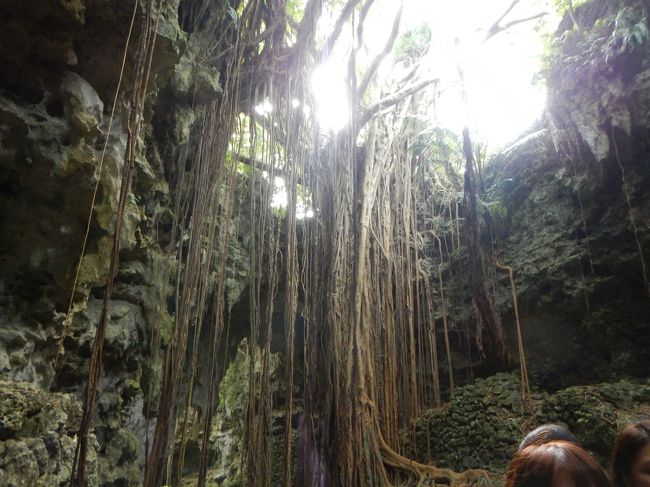 秋の沖縄・・世界遺産「城」＋アルファの旅♪３日目・・ガンガラーの谷に癒される。