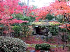 2016年　京都の散紅葉