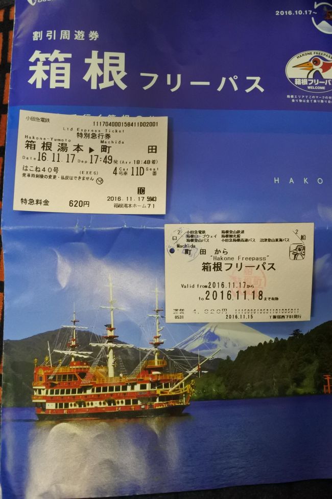 小田急はこねフリーパスを買って、秋の一日、箱根に行ってきました。紅葉のシーズンとあって平日でも混んでいるだろうと、同行した友人の提案で、今回は、ゴールデンルートを逆回りしてみました。<br />小田急線で小田原駅、箱根登山鉄道線で箱根湯本駅。強羅行きに乗り換える大行列を横目に改札へ。ここで友人と１１時に待ち合わせ。大渋滞の箱根駅伝ルートをバスで芦ノ湖畔まで上り。箱根町港から海賊船で桃源台港へ。１４時を回りちょうど空きだしたフードコートでお昼ご飯。ロープウェイに乗って大涌谷へ。ロープウェイの営業は１６時までというアナウンスに急かされ、少しだけ散策。ふたたびロープウェイで早雲山へ。ちょうど出発したばかりのケーブルカーを２０分待ち。席があってラッキー。出発時には都会のラッシュ並みで強羅へ。このまま乗り換えては座れないので、夕暮れの強羅公園を散策。あっという間に日の入り。登山電車で箱根湯本へ。残念ながら、もう真っ暗で景色はまったく見えず。帰りの小田急線はロマンスカー。<br />気がつけば、大渋滞、大混雑の中、おばさん二人すべて座った旅でした。<br />