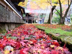 遅めの紅葉狩り『光明寺』から『宝筐院』へ　ー『鹿王院』ライトアップも