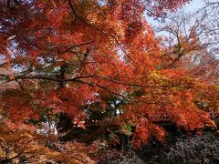 2016.11　紅葉と若冲の京都、ＫＹＯＴＯの若冲【2】～北野天満宮・相国寺他