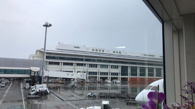 ホワイトベアーの格安ツアー<br />2泊3日<br />朝食付き<br />レンタカーガソリン満タン返し不要<br />終日自由行動<br />26600円<br /><br />1ヶ月前にこのツアーを見つけて<br />念願の沖縄<br />実質1日だけど<br />この値段ではなかなか来れないので<br />メイン美ら海水族館!で<br />やって来た<br />初日時間無くて首里城に行けなかったのが<br />残念でしたが<br />駆け足でも色々回れました(^_^)