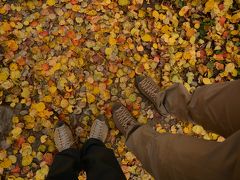 紅葉真っ只中のカズベキ村へ