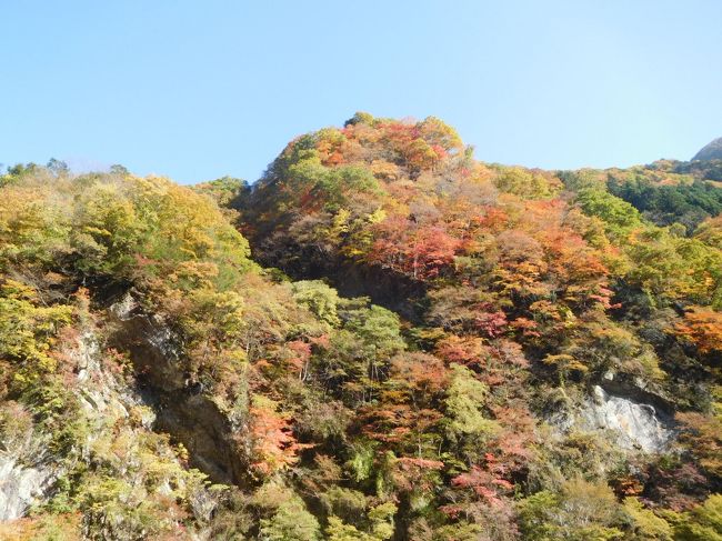 2016年、10年ぶりに紅葉シーズンの奥秩父の中津峡に行きました。もの凄い色鮮やかな美しい紅葉でした。<br /><br />---------------------------------------------------------------<br />スケジュール<br /><br />11月13日　自宅－（自家用車）－中津峡　中津峡観光　－自宅