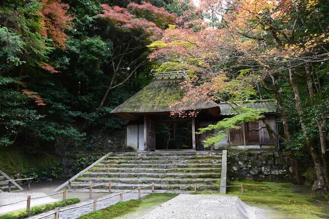 京都市左京区鹿ヶ谷にある法然院は、鎌倉時代の初め、浄土宗の開祖と仰がれる法然が弟子達とともに六時礼讃を唱えるべく鹿ヶ谷に草案を結んだのが始まりで、延宝８年（１６８０年）、知恩院第３８代門主萬無和尚が、開祖法然ゆかりの地に念佛道場を建立することを発願し、現在の伽藍の礎が築かれました。<br /><br />その後、浄土宗の本山として永い歴史を刻んできましたが、昭和２８年（１９５３年）に単独の宗教法人として浄土宗から独立し、現在に至っています。<br /><br />銀閣寺寄りの哲学の道を東に上がった所にある法然院は、住宅街に接しているとはいえ参道は静寂そのもので、その静寂さを愛した多くの文人や学者のお墓が建立されています。<br /><br />参道の先に待ち構える茅葺の山門をぐって境内に一歩足を踏み入れると、お寺の人の手によって四季折々に模様や文字が描かれる、２基の白砂壇が出迎えてくれます。<br /><br />白砂壇は水を表わしているそうで、『水の間を通ることで心身が浄められる』との意味が込められています。<br /><br />その意味を噛みしめながら白砂壇を過ぎてさらに進むと、池を配した庭園のそこかしこに紅葉した木々が枝を広げています。