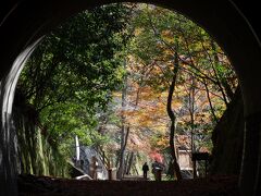 339 平坦なコースなのに、トンネル・巨岩・断崖・武庫川の流れで楽しめる「武田尾廃線ハイク」