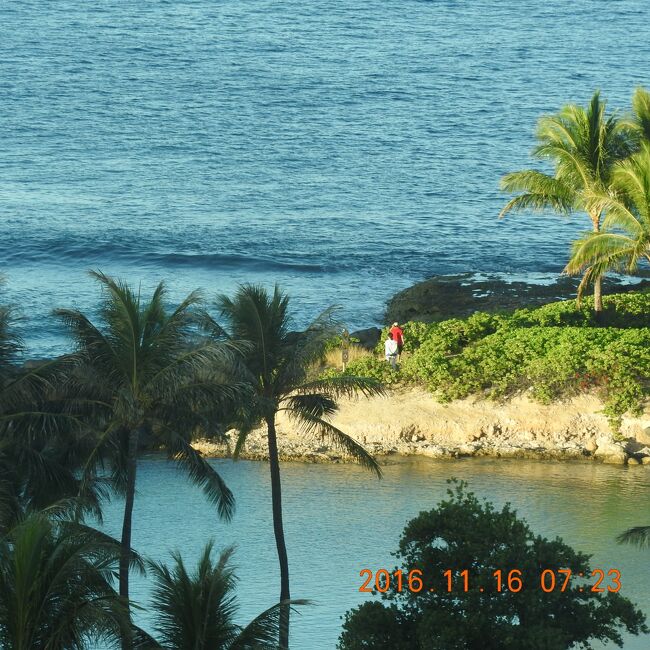 Marriott&#39;s Ko Olina Beach Club(オアフ島・コオラニ　マリオット)<br />　ニコン６０倍ズーム使用<br /><br />毎日数組が此処に探検に入っています。<br /><br />蚊：時期的なモノも有るでしょうが、一匹も見ませんでした。<br />　　勿論、数種類の虫除け・蚊よけは持参していますが、使いませんでした。<br />　　（部屋に固定の電子式蚊取り線香はつけっぱなしでしたが、ラナイにも<br />　　　庭でも見かけませんでした）<br />ワイキキでも見かけませんし不思議です。<br />ノースの山中等には蚊柱が立つほどですから、島に居ることは居るのですが。<br /><br />バリ島も観光地だからか、住宅地にも見かけません。水たまりは結構有るし、汚い川も多いのですが。<br /><br />https://youtu.be/hawO4L9UHck<br />貿易風が特に強い地域です。<br />その為、ホノルル空港に着陸する飛行機が風上に向かって速度を落とすコースに成っています。