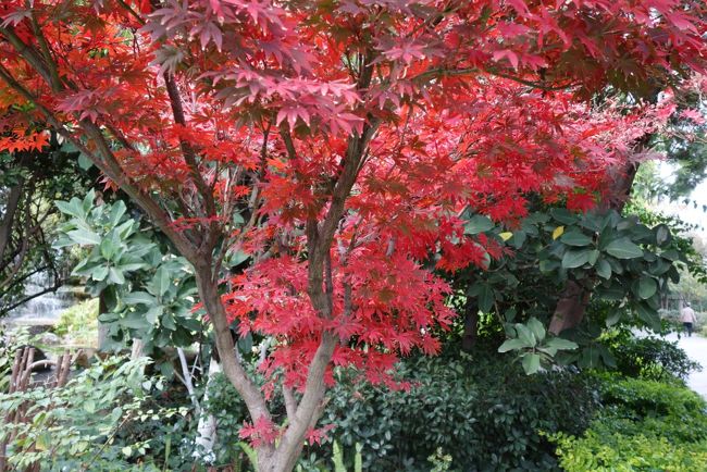 あまり出かける気分でも無いところに、曇り空。この宿の界隈は初めてですから、少し散歩でもしてみるかな？