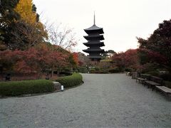 晩秋の京都で紅葉狩り