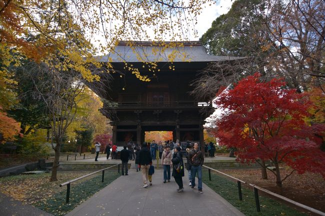 いよいよ京都・滋賀旅行を明日に控え。気持ちが昂るなか<br /><br />今年はフィルムカメラをメインに使って来ましたが、京都へは久しぶりにデジカメも持ち込もうと思っております。<br />久しぶりになっちゃったので、デジカメでの撮影をしようとお出かけ。<br /><br />新宿のヨドバシには多数のフィルムが置いてあるので、新宿に出て新宿御苑へ行こうと。。<br />ダウンジャケットを羽織って飛び出す。<br /><br />しかし、本日の関東は暑い！！！<br />ダウンジャケットで駅に向かっている間にも、これはイケナイ暑さだな。。。<br />そう感じたので家に引き返す。<br />薄手の上着を羽織って再び駅に向かう。<br /><br />しかし。。そう言えば京都の駅前にもヨドバシあったよな。。<br />したらそこでフィルム買えるよなぁ。<br /><br />そして旅行を明日に控えて余計な体力を使いたくないと、以前は思いもしなかった思考が脳内を循環しておりました。<br /><br />近場だと。。。あ！！九品仏が有るじゃないっすか！<br /><br />って事で向かった九品仏です。