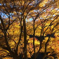 2016年12月静岡・梅ヶ島温泉