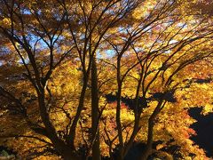 2016年12月静岡・梅ヶ島温泉