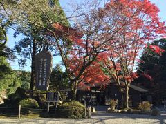 霧島に紅葉を見に行ってきました