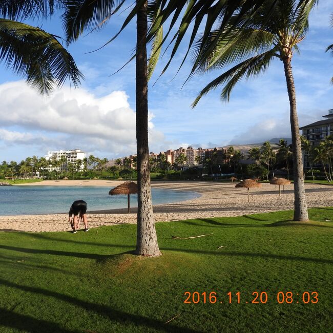 Oahu　Marriott&#39;s Ko Olina Beach Club　２０１６年１１月２０日<br /><br />Marriott&#39;s Ko Olina Beach ClubからAulani, A Disney Resort &amp; Spa方面へラグーン沿いの散歩道を行く<br /><br />オアフ島コオラニ　マリオット　2016 11 １９~　　 ニコン６０倍 No.４