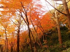 鎌倉・獅子舞の紅葉