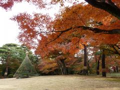 殿ヶ谷戸庭園の紅葉_2016_見頃は過ぎていたが、若干残っていた紅葉を楽しみました（国分寺市）