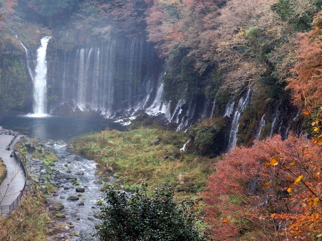 　１２月１日<br />　研修旅行２日目です。<br />８時４０分に三保のホテルを出発、先ず家康の隠居城、駿府城を目指します。<br />　駿府は室町時代、駿河、遠州、三河の太守今川氏の城下町として栄え、当時幼少であった家康も人質としてここで過ごし、子まで設けています。<br />　その後幾多の変遷を経て、家康は慶長１０年、将軍職を2代秀忠に譲り、翌年この地に戻って大御所政治を行います。<br />現在の静岡市の原型はこの時に整備されました。<br />　尚城跡は明治に入り、陸軍の駐屯地となった為、取り壊され何も在りませんが、近年再建に取り組んでいます。<br />　次いで富士山本宮浅間大社に回ります、富士山を御神体とする神社の本店です。<br />続いて白糸の滝、高さ２０米、幅２００米、日本最大の滝です。<br />尚岸壁から流れ落ちる滝の水は富士山の伏流水です。<br />　最後は朝霧高原に」立寄りますが、曇りで雲が低く立ち込め、富士山は見えず、買い物タイムとなりました。<br />都内への帰着は午後5時でした。<br />